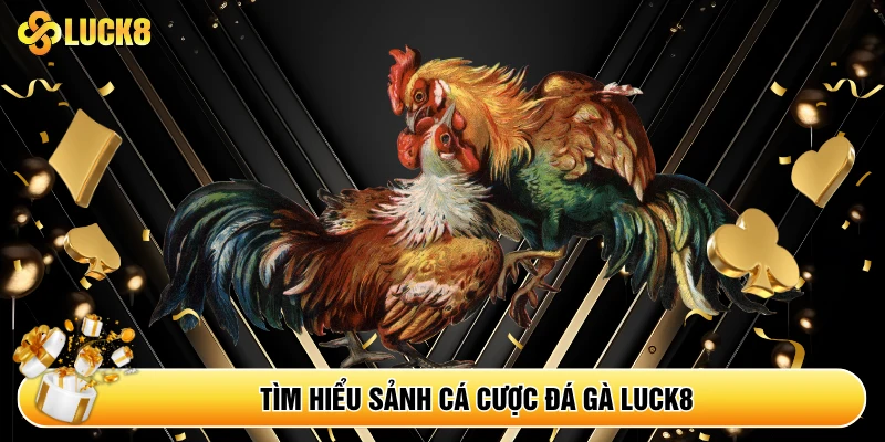 Tìm hiểu sảnh cá cược đá gà Luck8